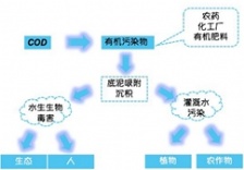 在線水質(zhì)監(jiān)測(cè)知識(shí)篇-化學(xué)需氧量COD