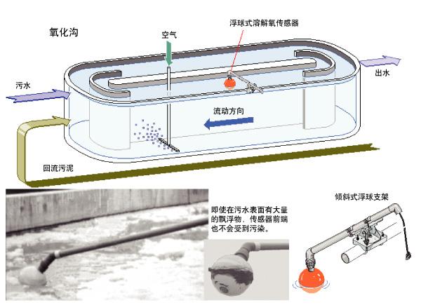 在線溶解氧的安裝及維護(hù)